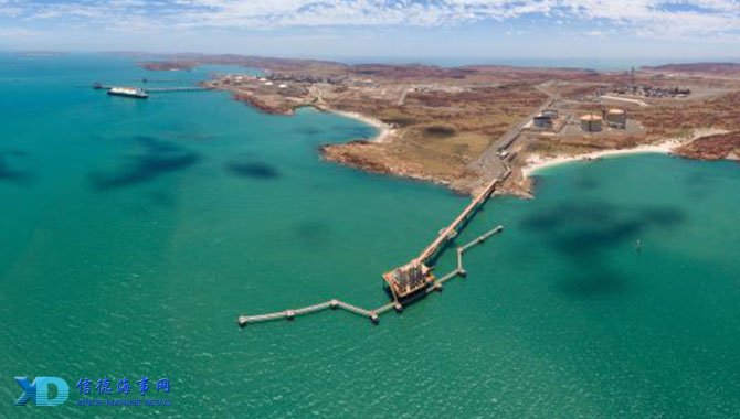 杨瀚森机会来了？克林根&罗威都将缺席今天对阵灰熊的比赛（克林根、罗威今日战灰熊缺阵，杨瀚森迎来良机）